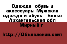 Одежда, обувь и аксессуары Мужская одежда и обувь - Бельё. Архангельская обл.,Мирный г.